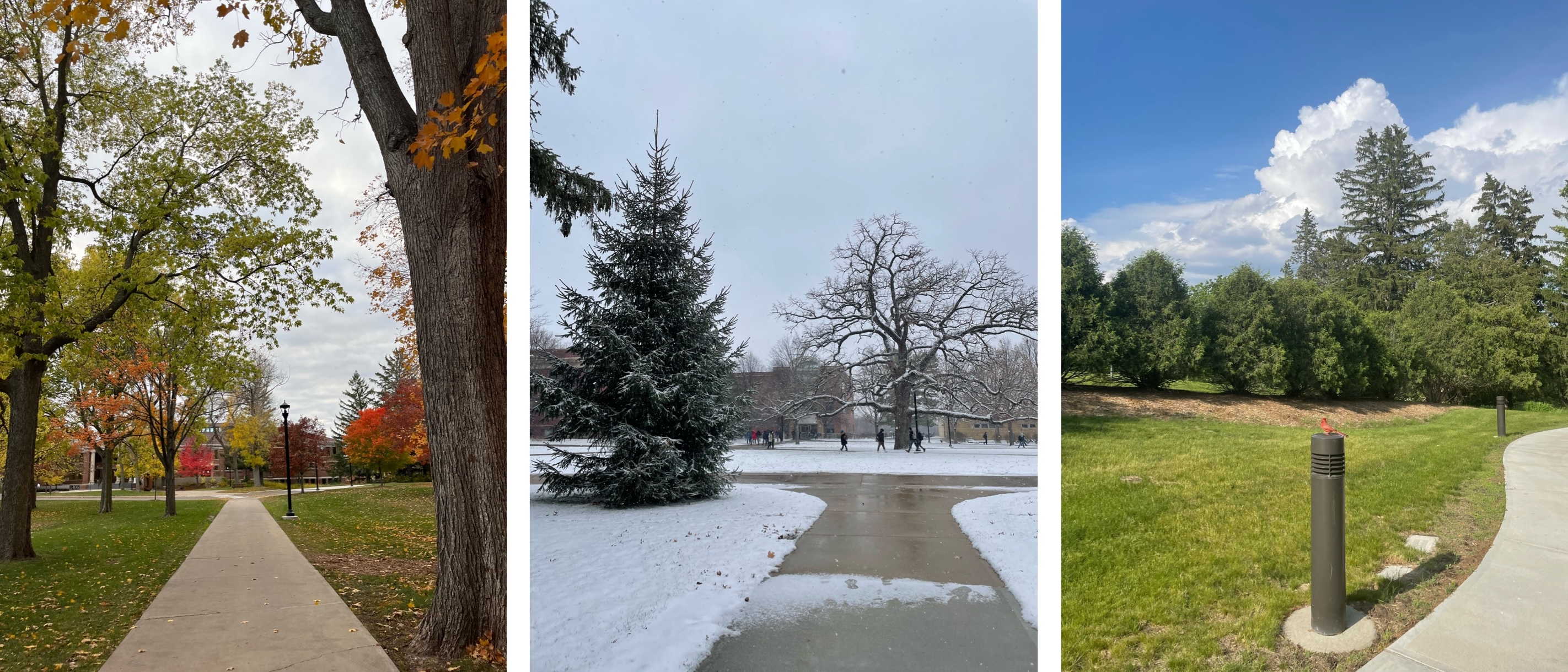 Carleton College campus view