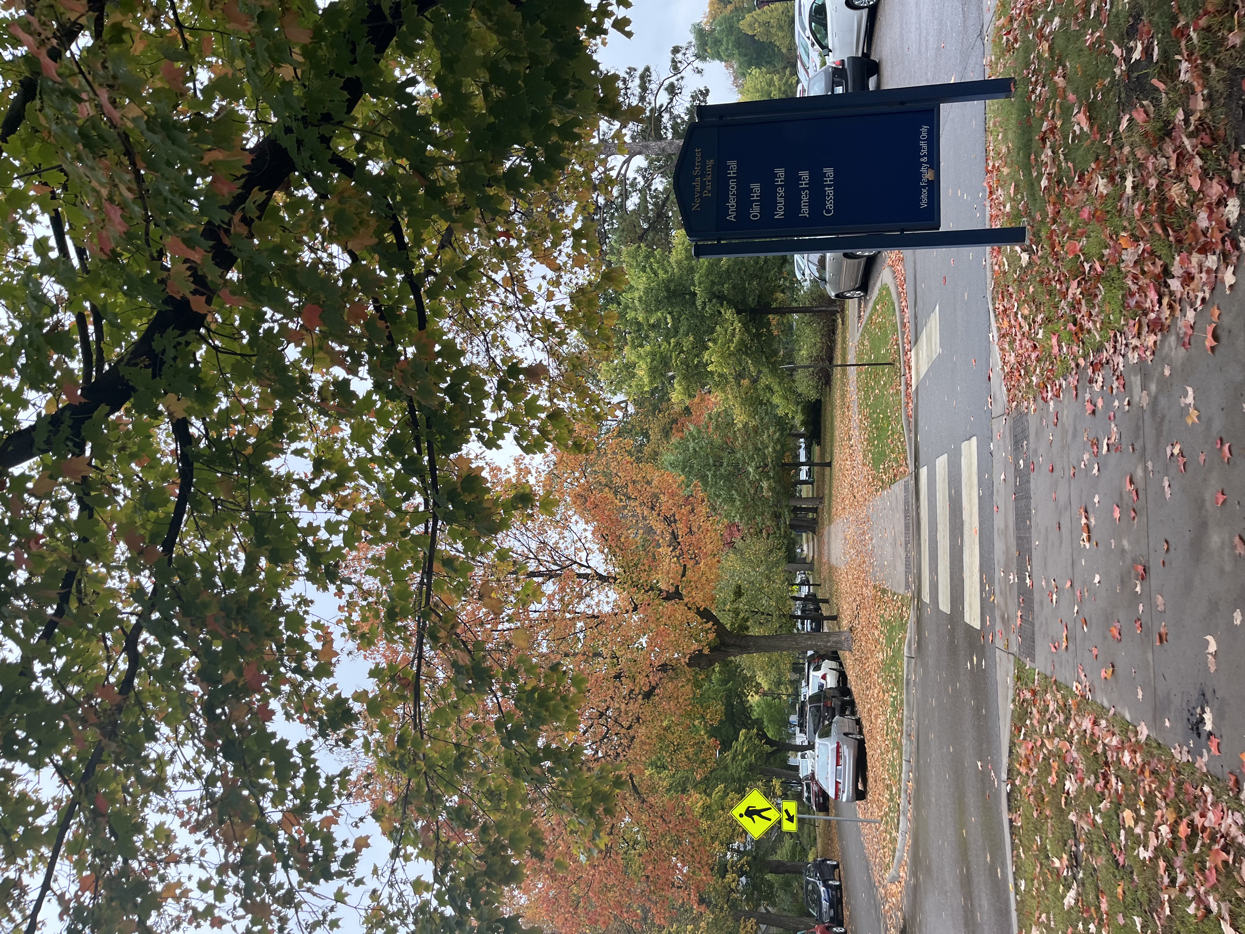 Fall evening walk to the Weitz